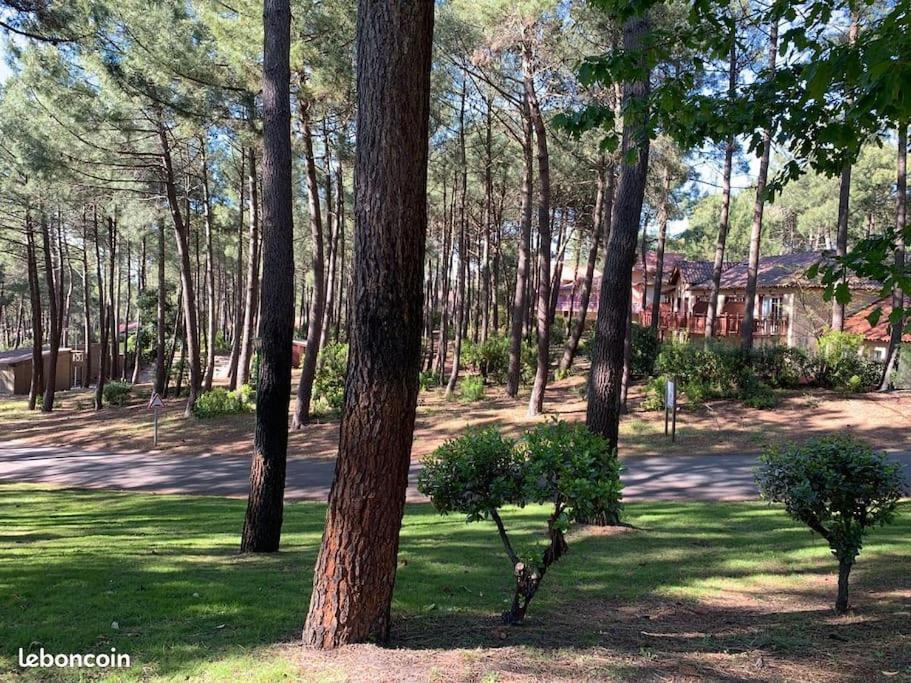 Apt T2 Calme Sur Golf, Piscine, Ocean 10 Min En Velo Lacanau Zewnętrze zdjęcie